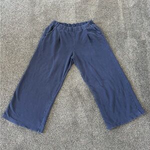 Aerie Navy Street Trouser
